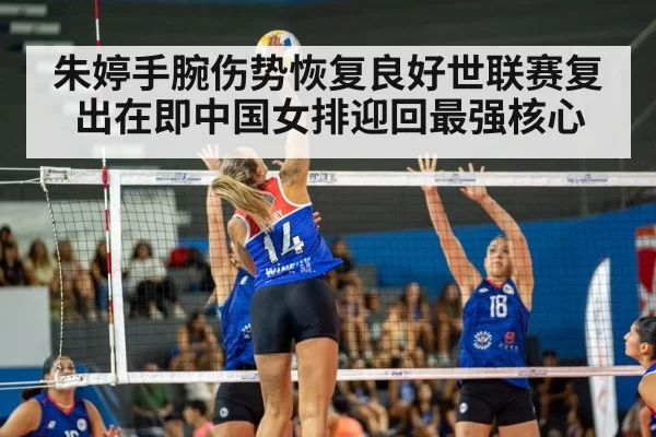 volleyball match action shot